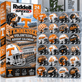Premium TVF Mini Helmet Advent Calendar NTNA